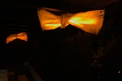 fd-2019-01-06-17-31-52